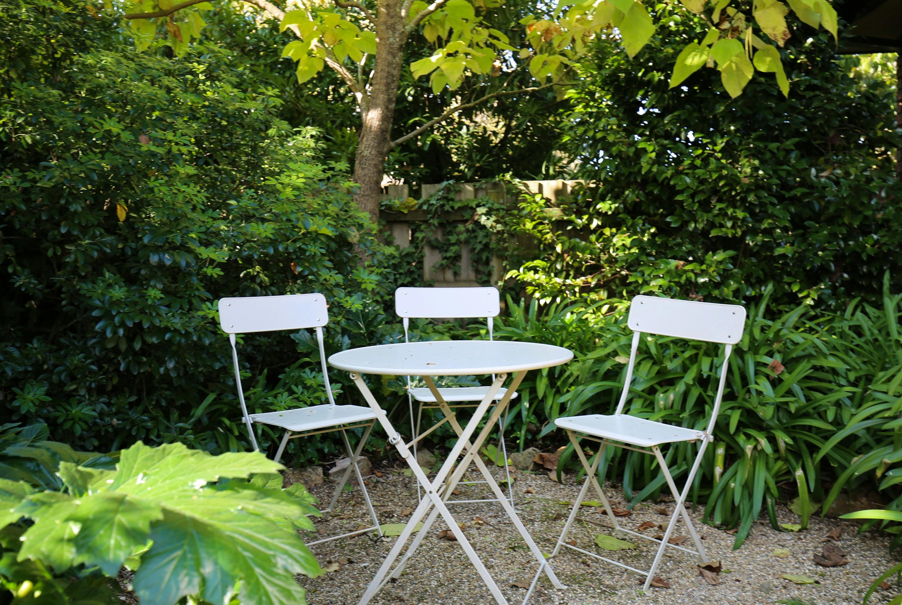 Backyard seating area