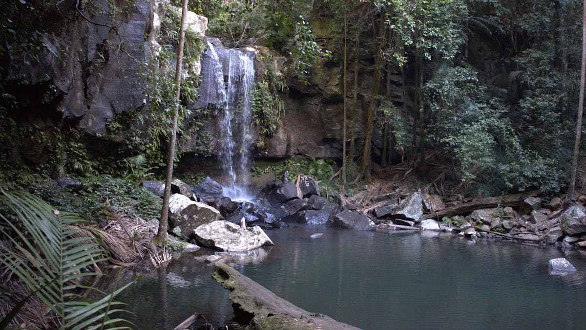 Curtis falls
