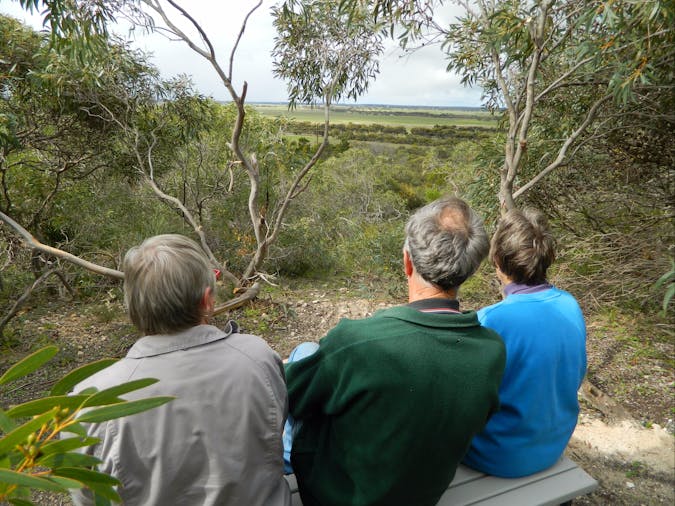 Meningie Lions Walking Trail