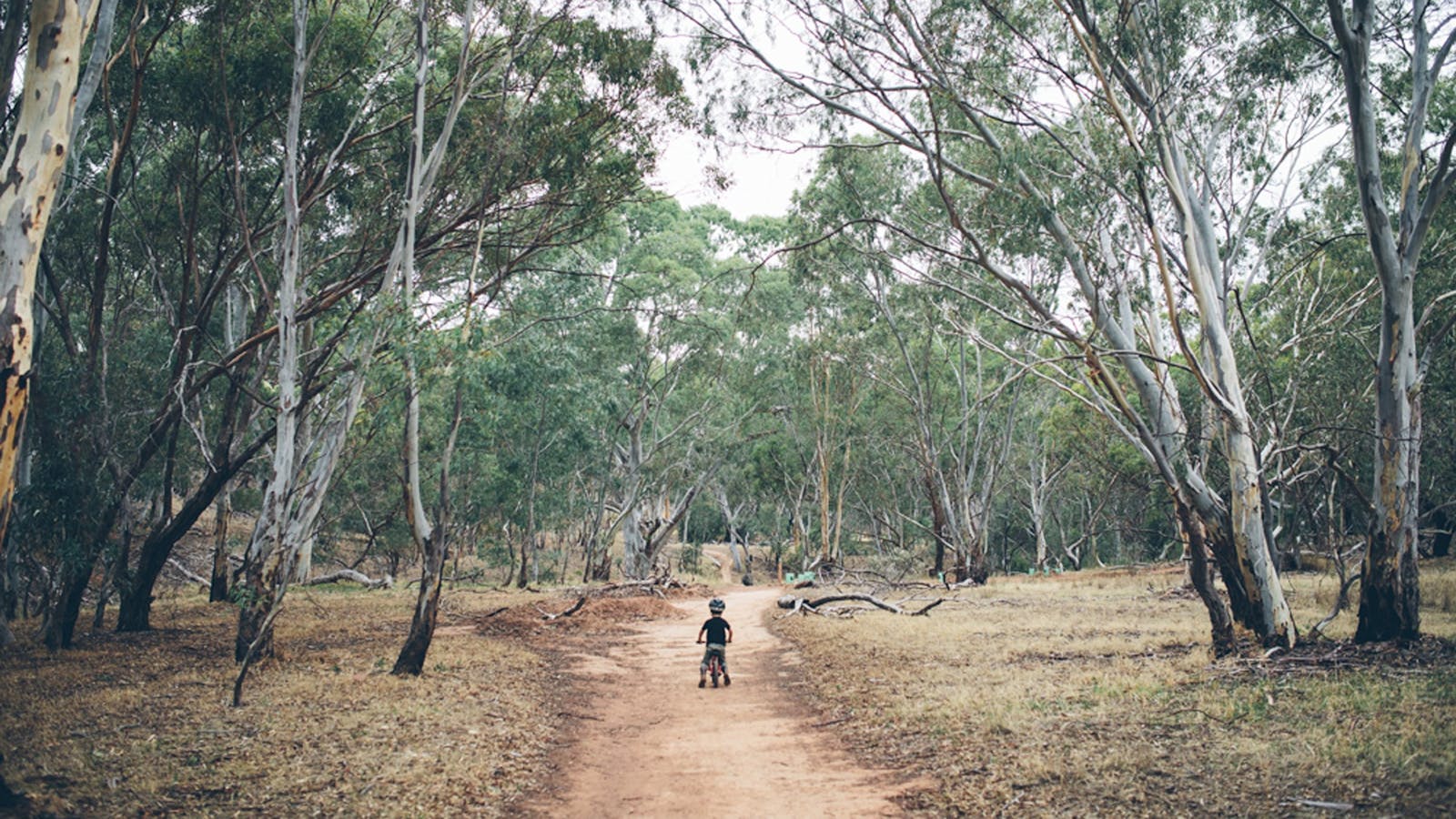 Shepherds Hill Recreation Park