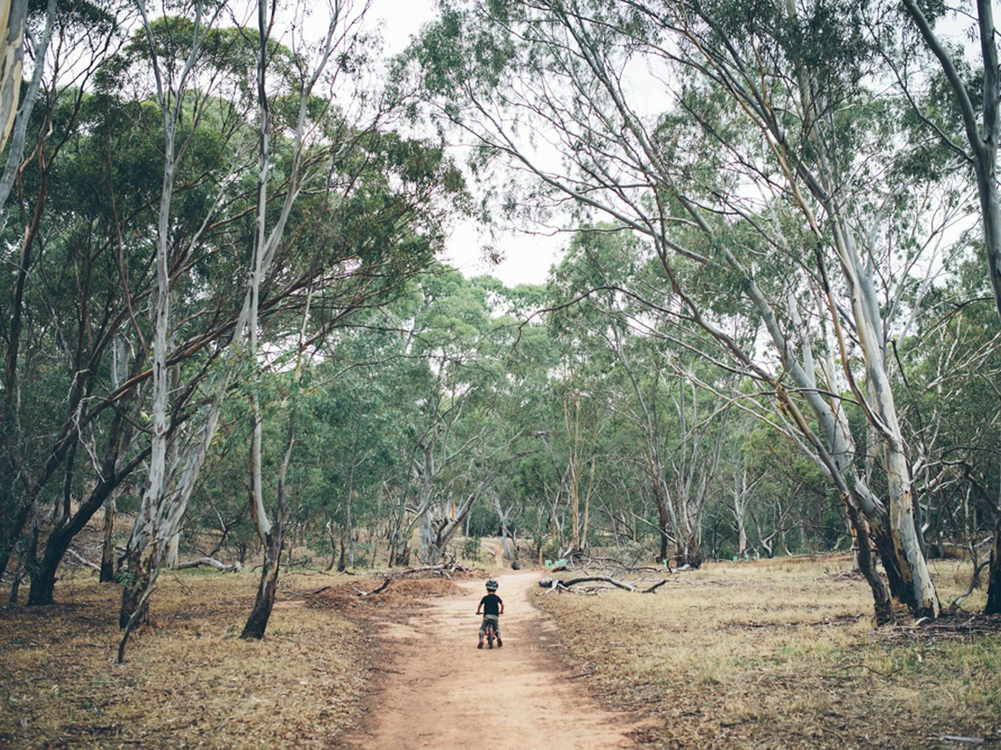 shepherds-hill