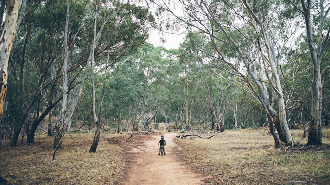 Shepherds Hill Recreation Park