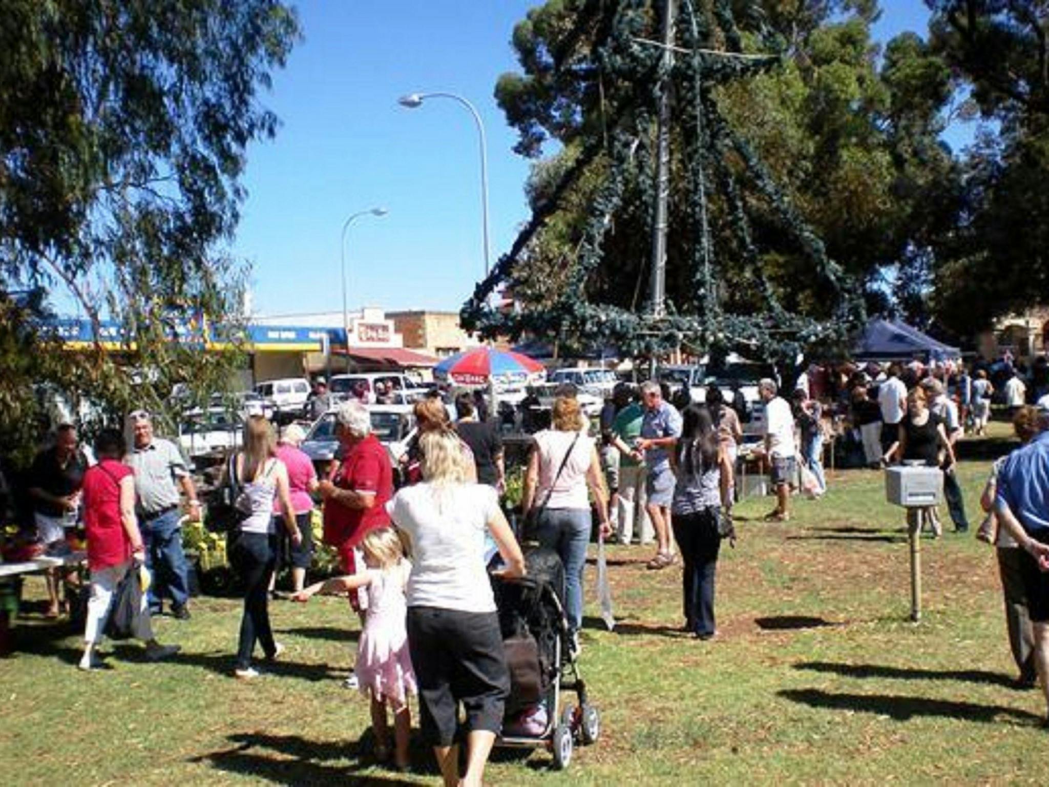 The Rotary Markets, Kadina