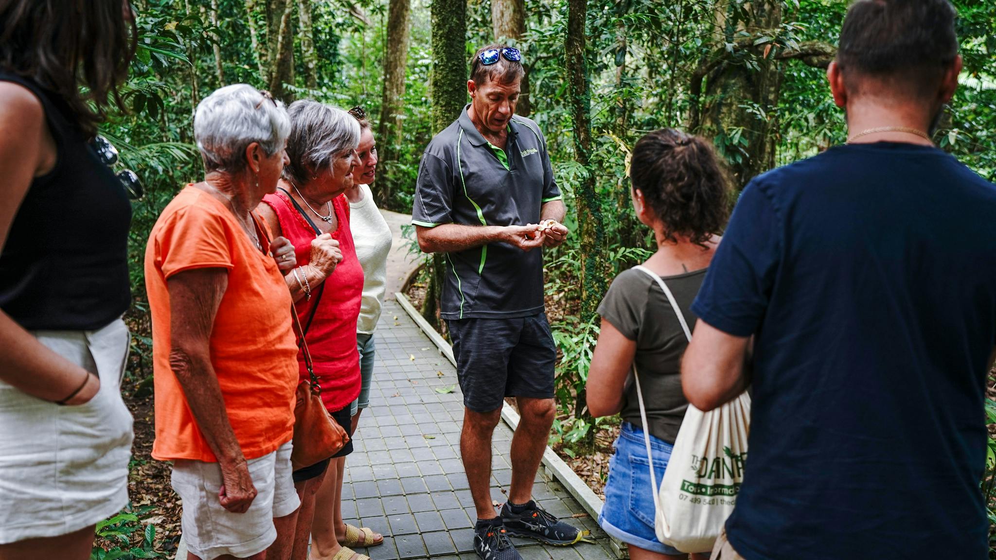 Guide shares knowledge with his guests on guided rainforest walk - Daintree Discovery Tours Guide shares knowledge with his guests on guided rainforest walk - Daintree Discovery Tours