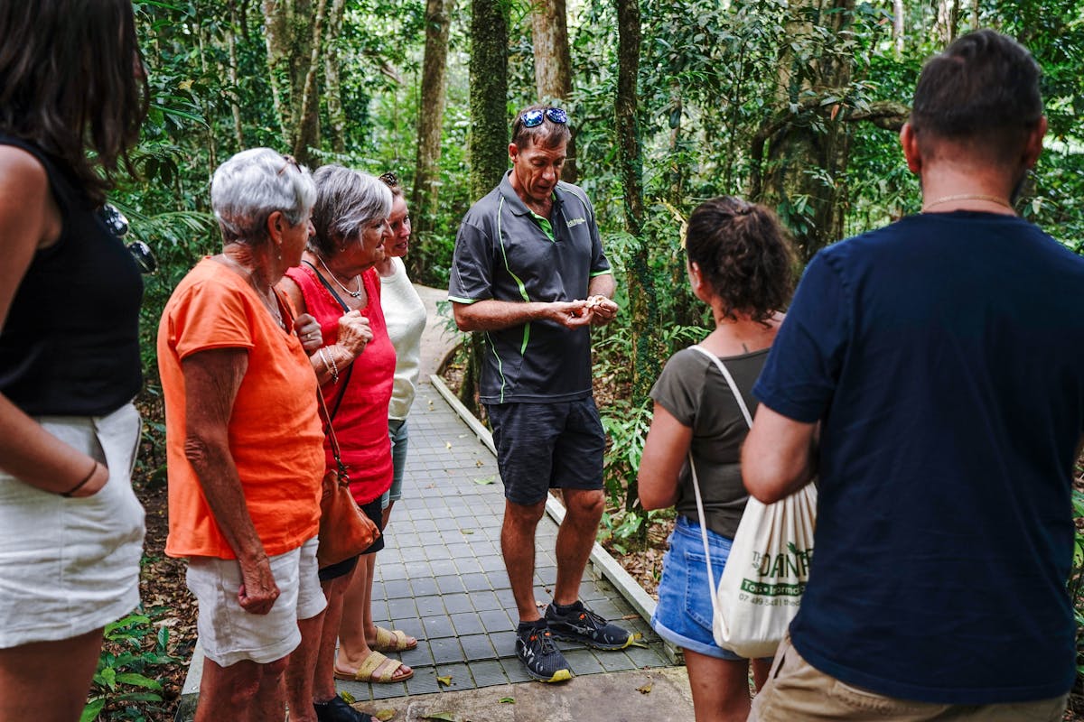 Guided Rainforest Walk - Daintree Discovery Tours