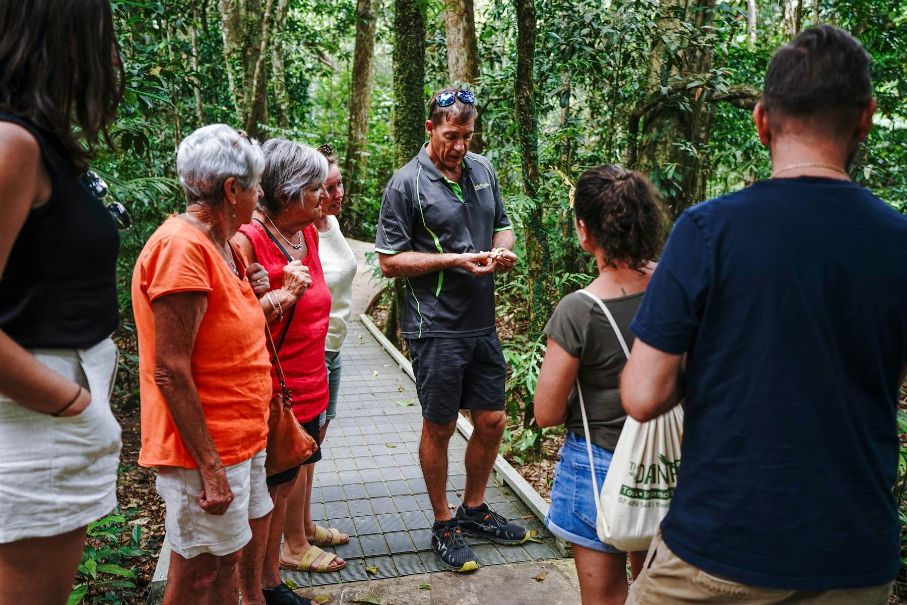 Guide shares knowledge with his guests on guided rainforest walk - Daintree Discovery Tours