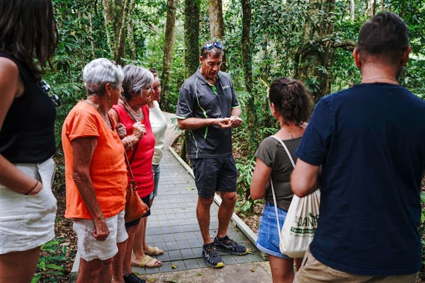 Guide shares knowledge with his guests on guided rainforest walk - Daintree Discovery Tours