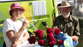Koonya Garlic Festival 2016