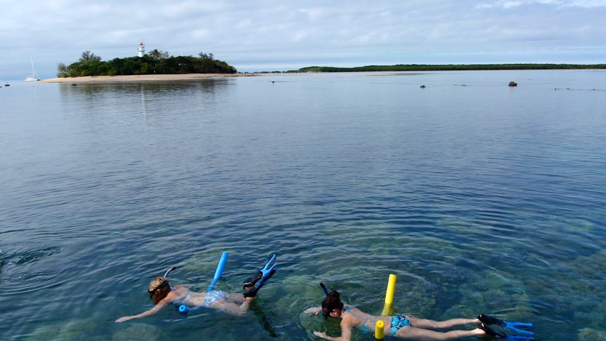 Snorkelling at Low Isles
