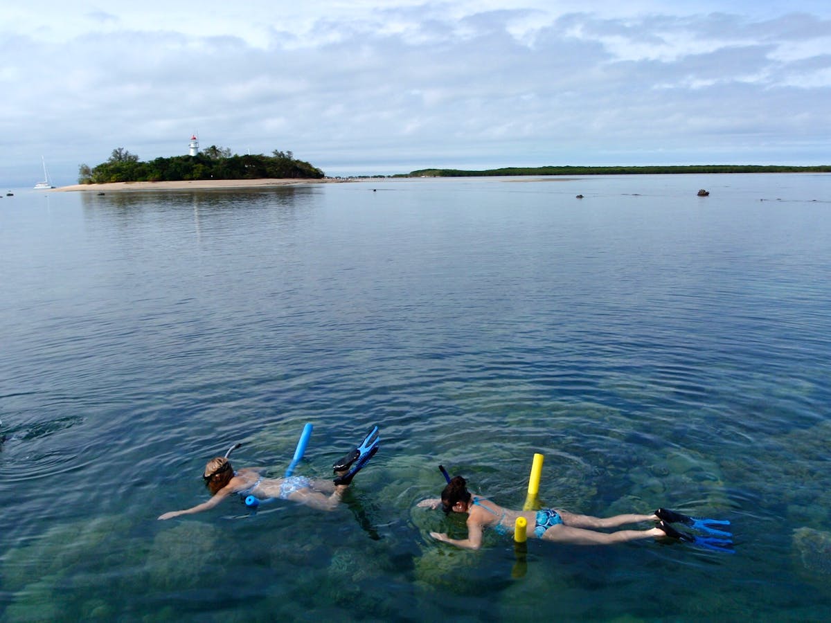 Snorkelling at Low Isles