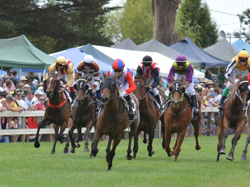 Longford Cup