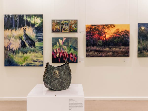 Artwork at Brigalow Arts Festival 2025