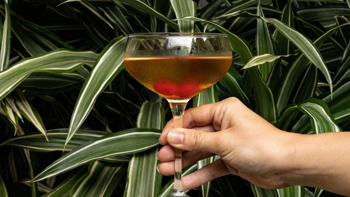The Gentleman Cocktail