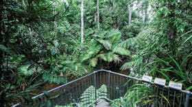 Djiru National Park
