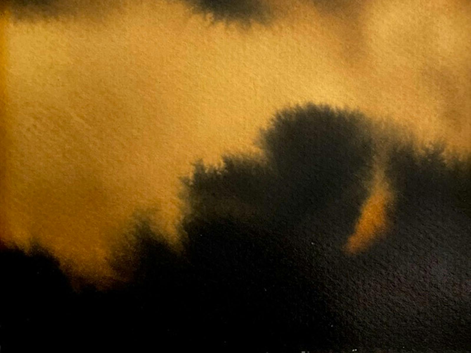 Quietlands by Fiona Kent at The Peisley St Gallery