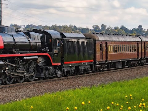 Thirlmere Festival Of Steam Picnic Train