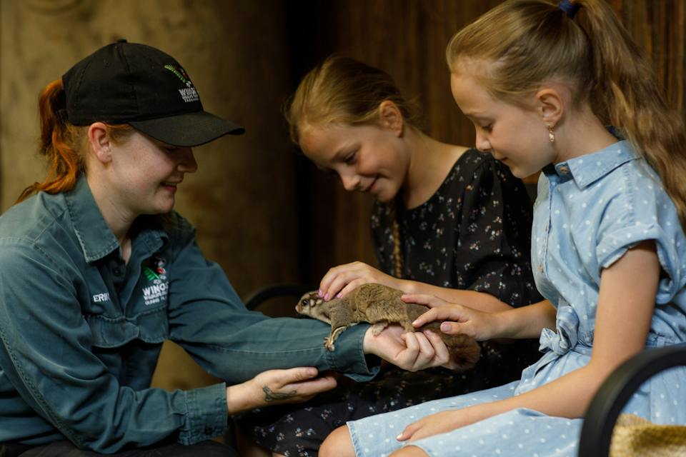 Wings Wildlife Park photo
