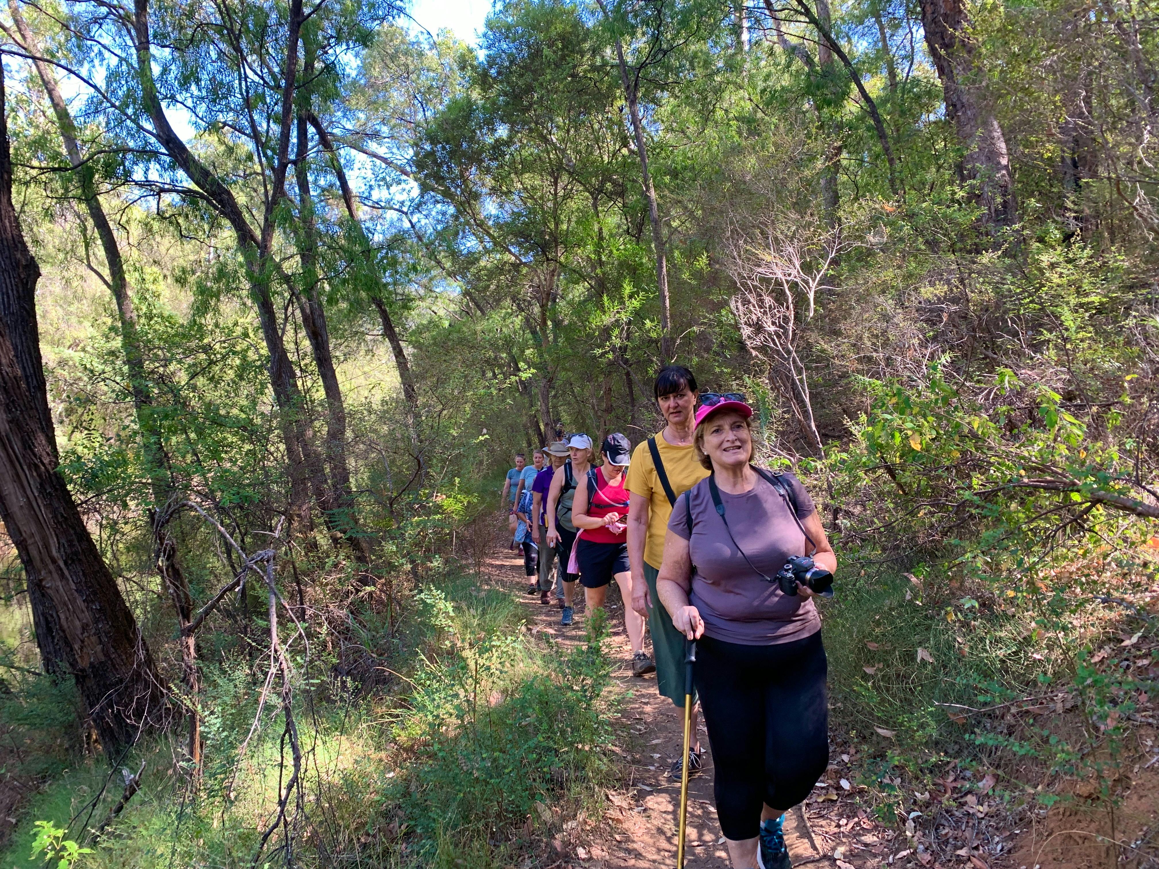 Collie | Hike, Wine & Dine Experience