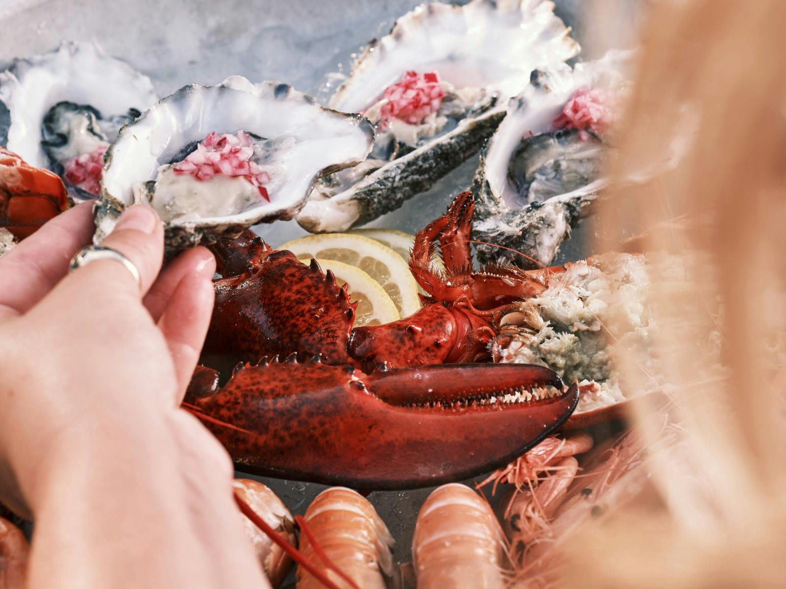 Surf and Turf Buffet In Glenelg