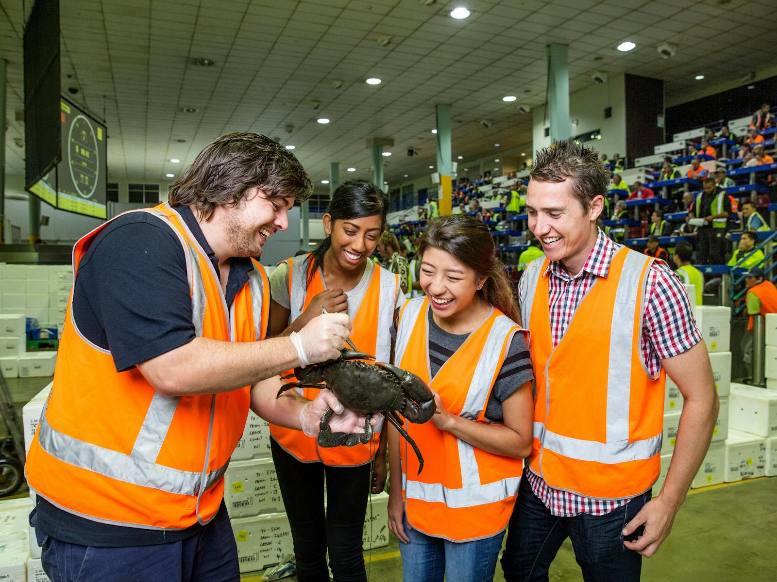 ツアーガイドはゲストにマッドクラブを示しています