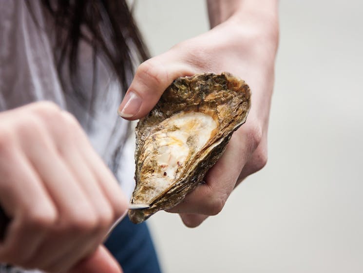 Fresh is best! Taste oysters fresh from the local farm
