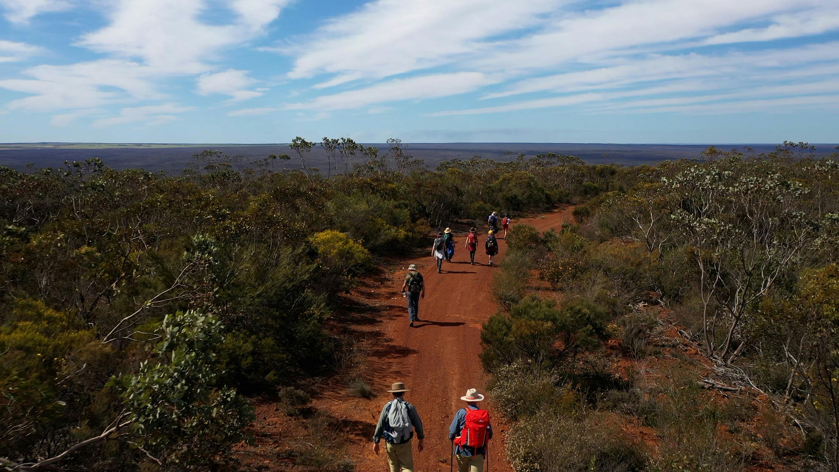 Drone shot of people walking along dirt track - bush on either side