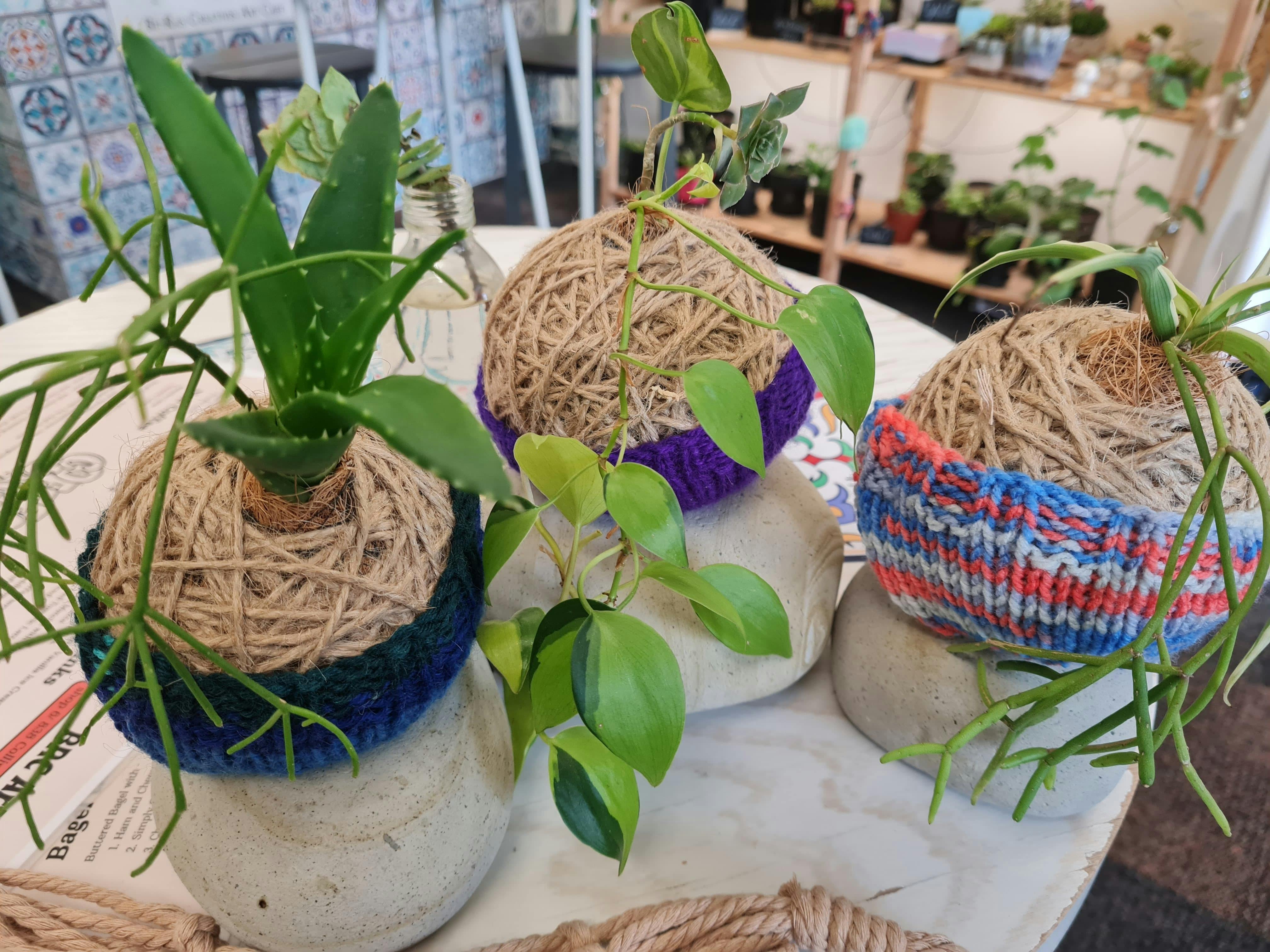 Beginners Kokedama Making Workshop