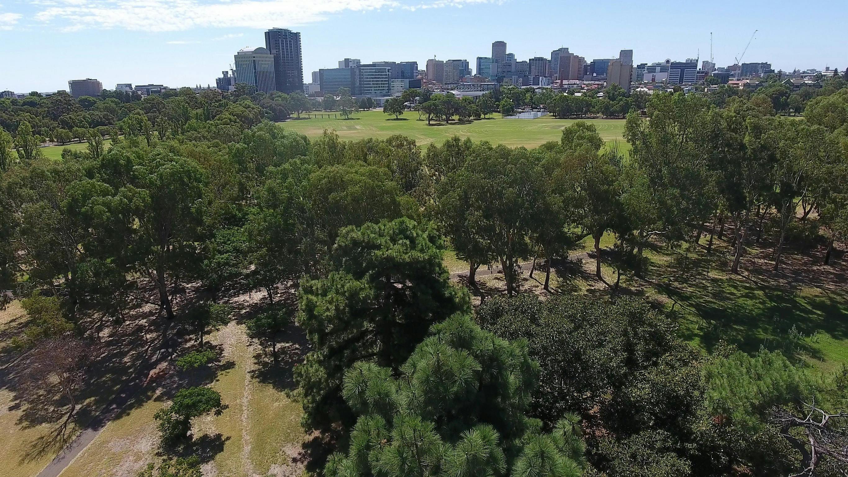 Blue Gum Park / Kurangga (Park 20)