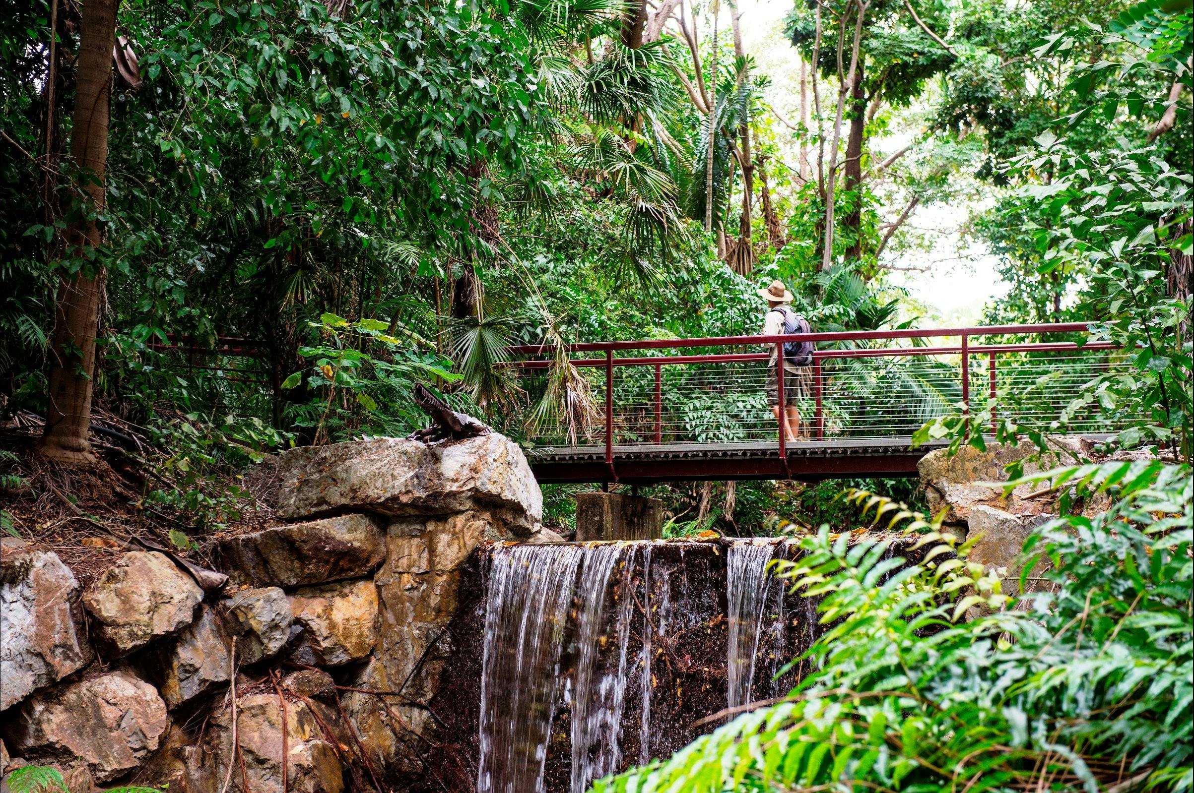George Brown Darwin Botanic Gardens | Things to do in Darwin