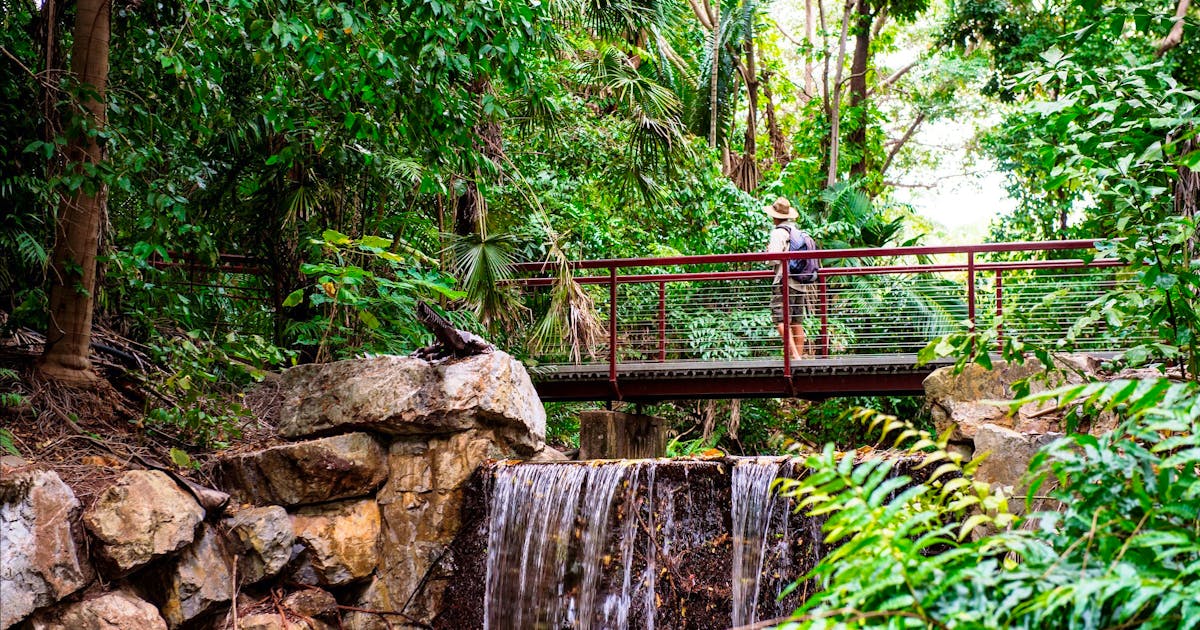 George Brown Darwin Botanic Gardens | Things to do in Darwin
