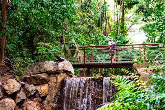 George Brown Darwin Botanic Gardens