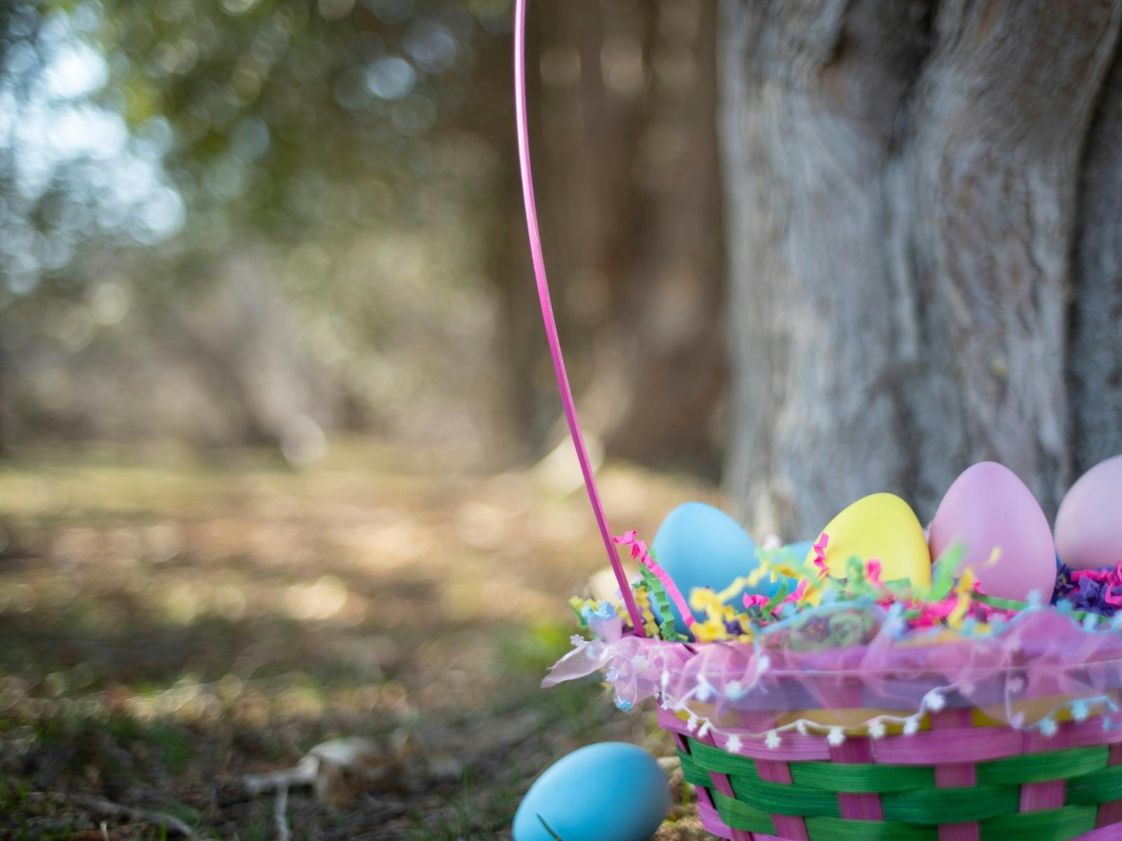 Celebrate Easter Sunday at Punt Road Wines and Yarra Valley Farmers Market