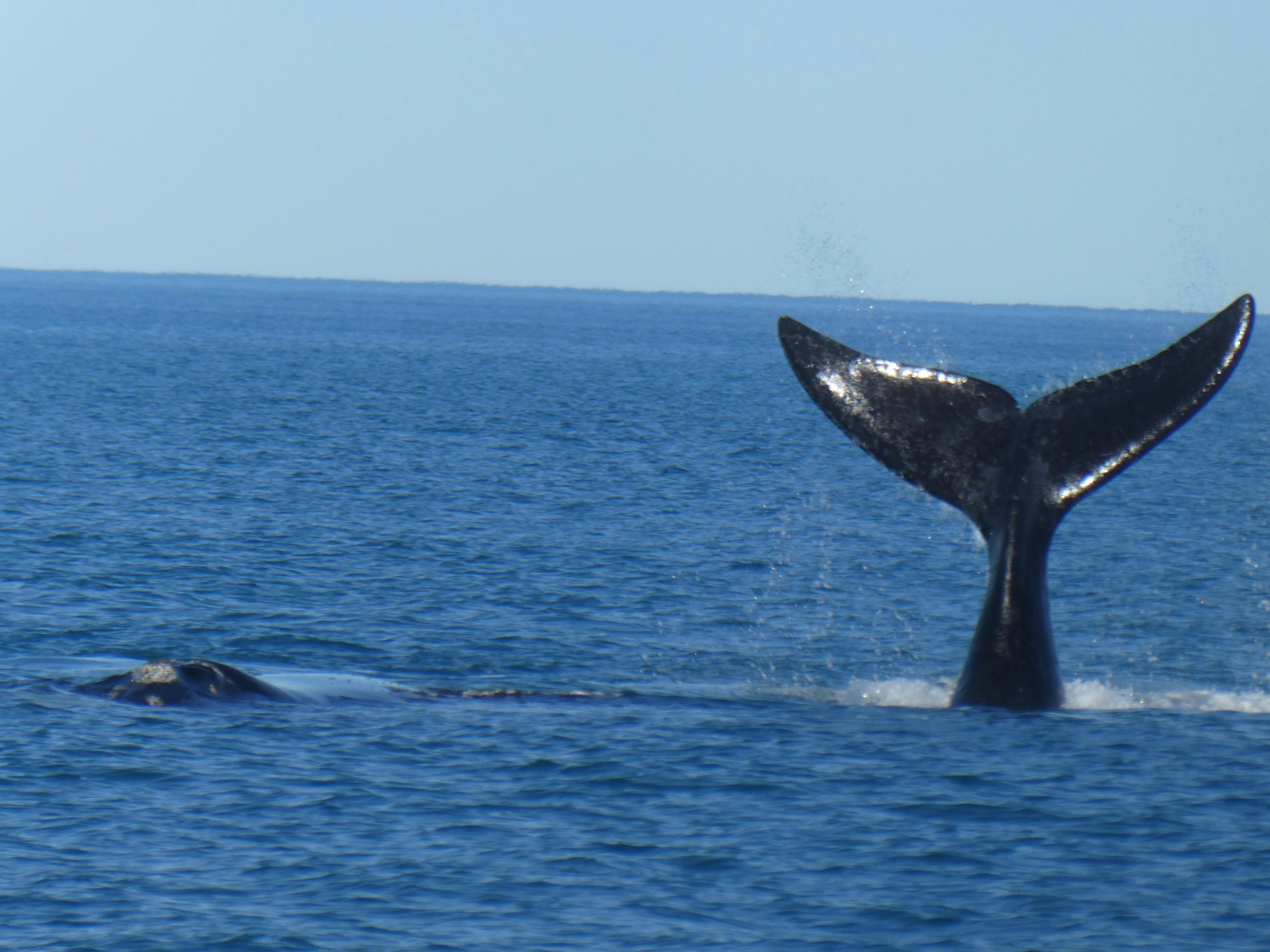 Eyre Peninsula, South Australia