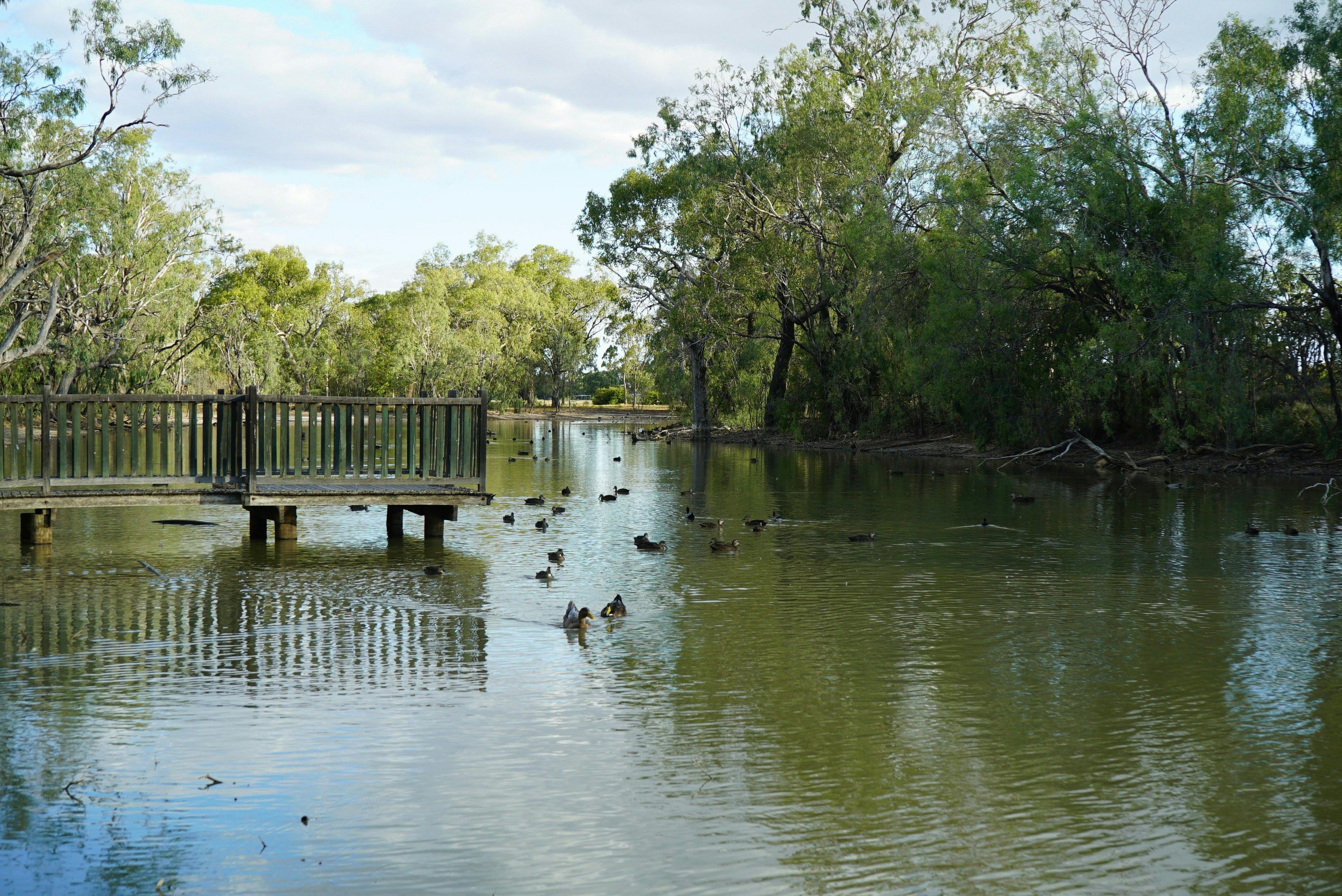 Goondiwindi Top Tourist Park Southern Queensland Country
