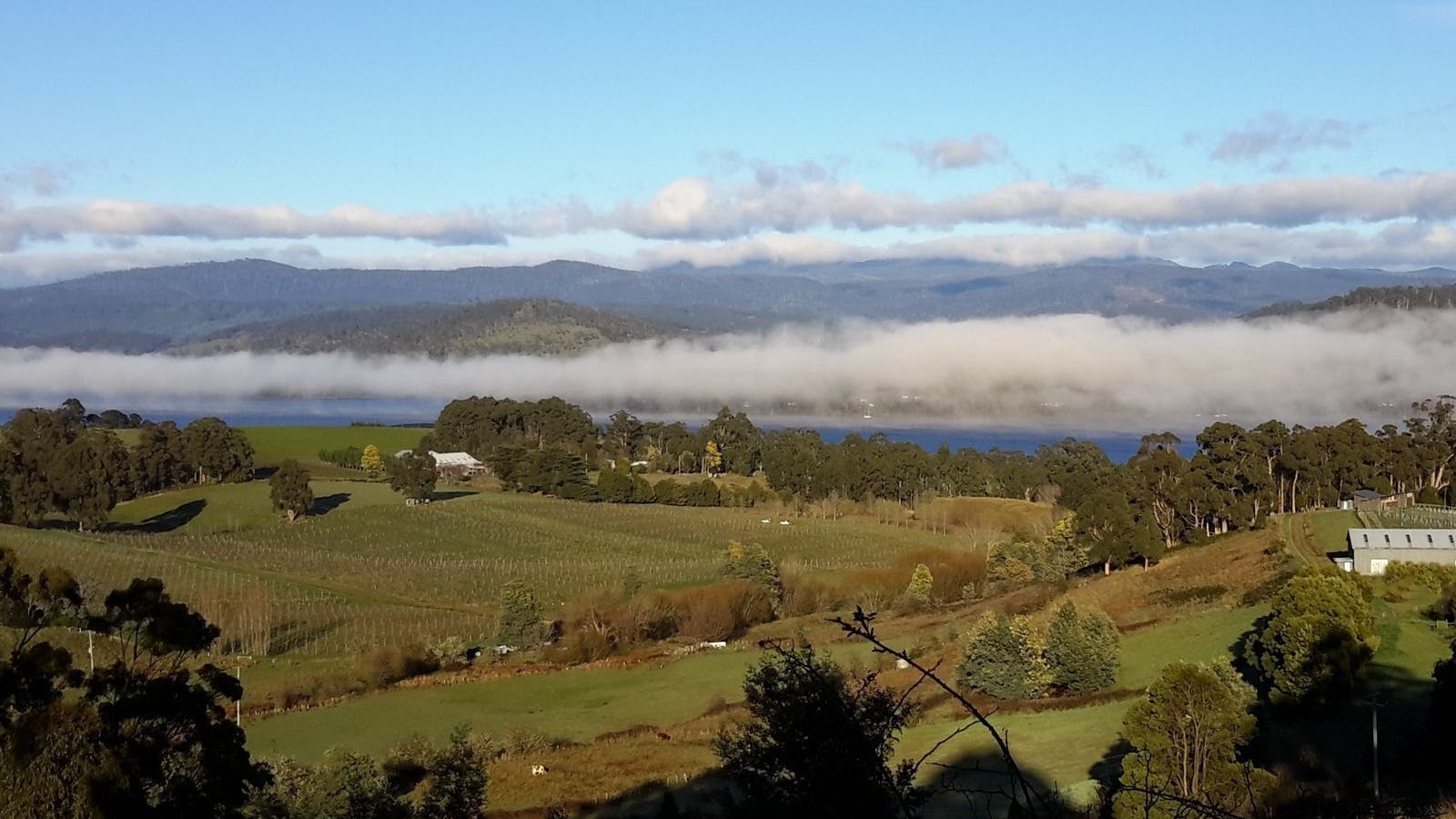 View to river from main window