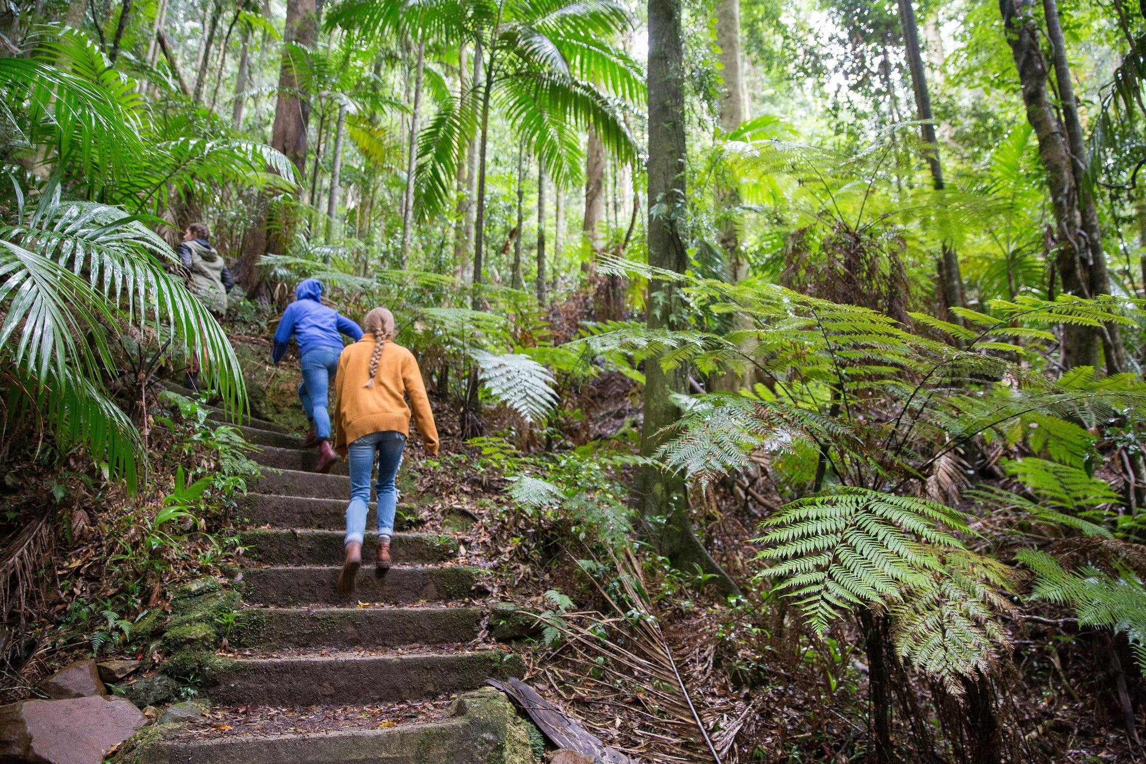 Maiala Day Use Area, Mount Glorious