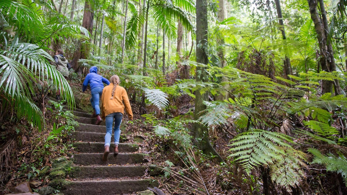 Two people climbing the stairs in Maiala, D'Aguilar National Park