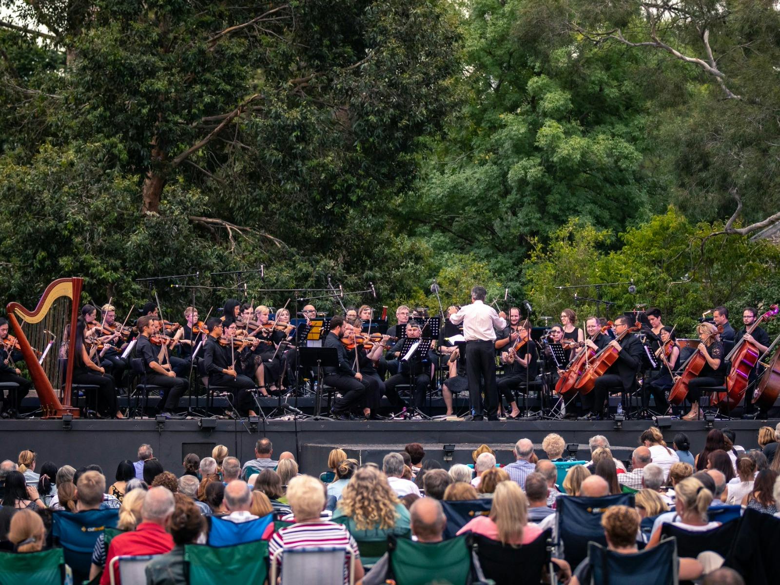 Orchestra performs outdoors at the Royal Botanic Gardens with audience seated on the grass.
