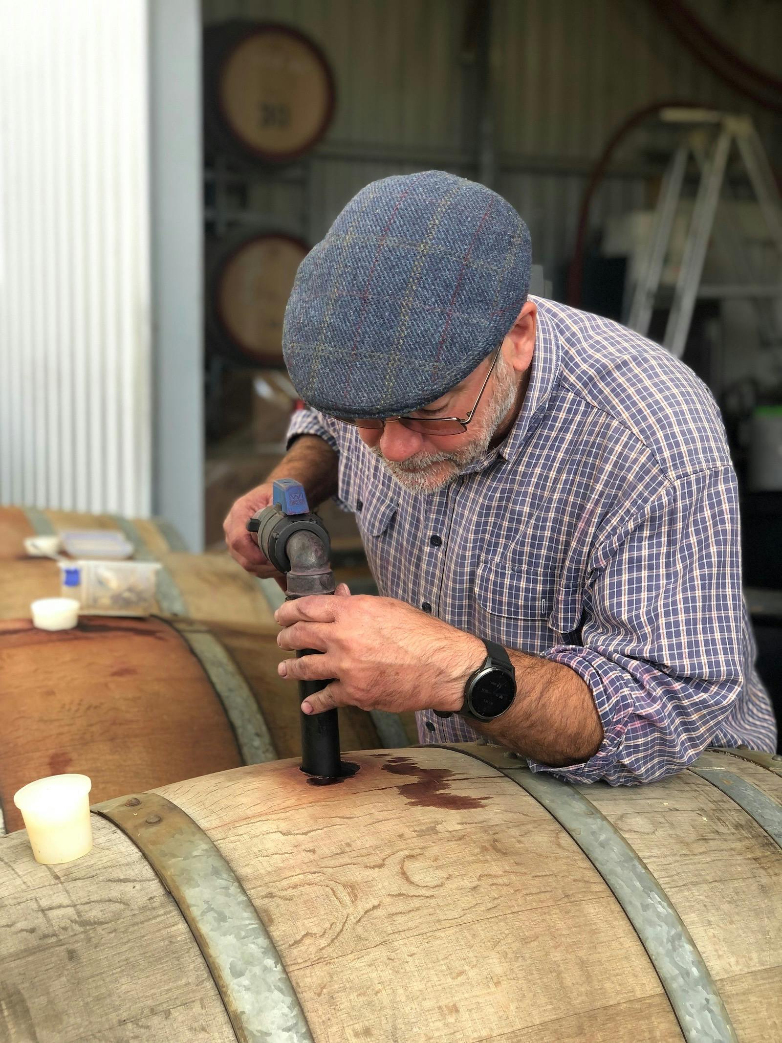 SummerVines:  Winery Experience