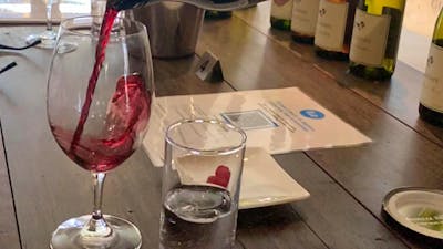 Gundog estate wine tasting