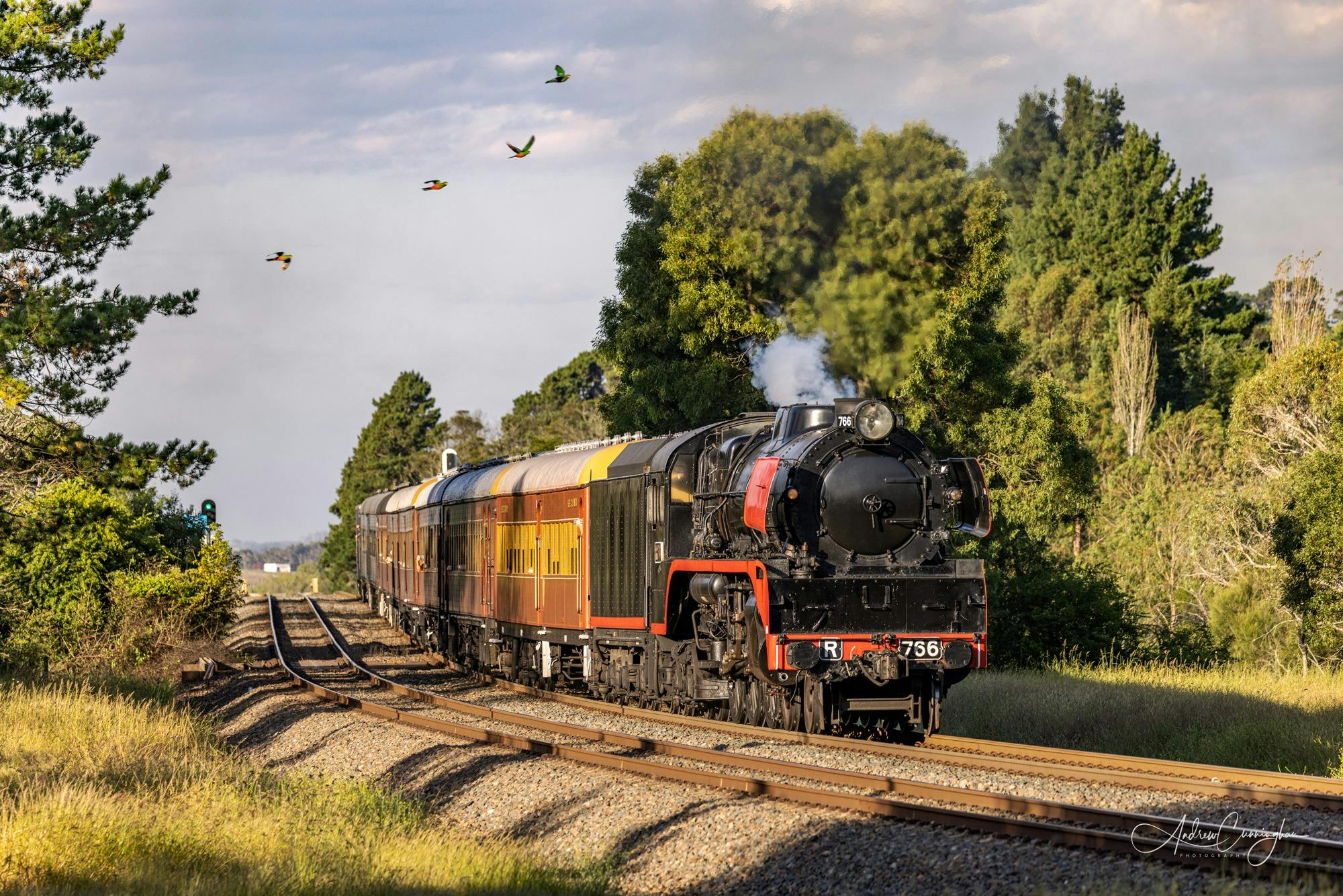 Moss Vale Picnic Train