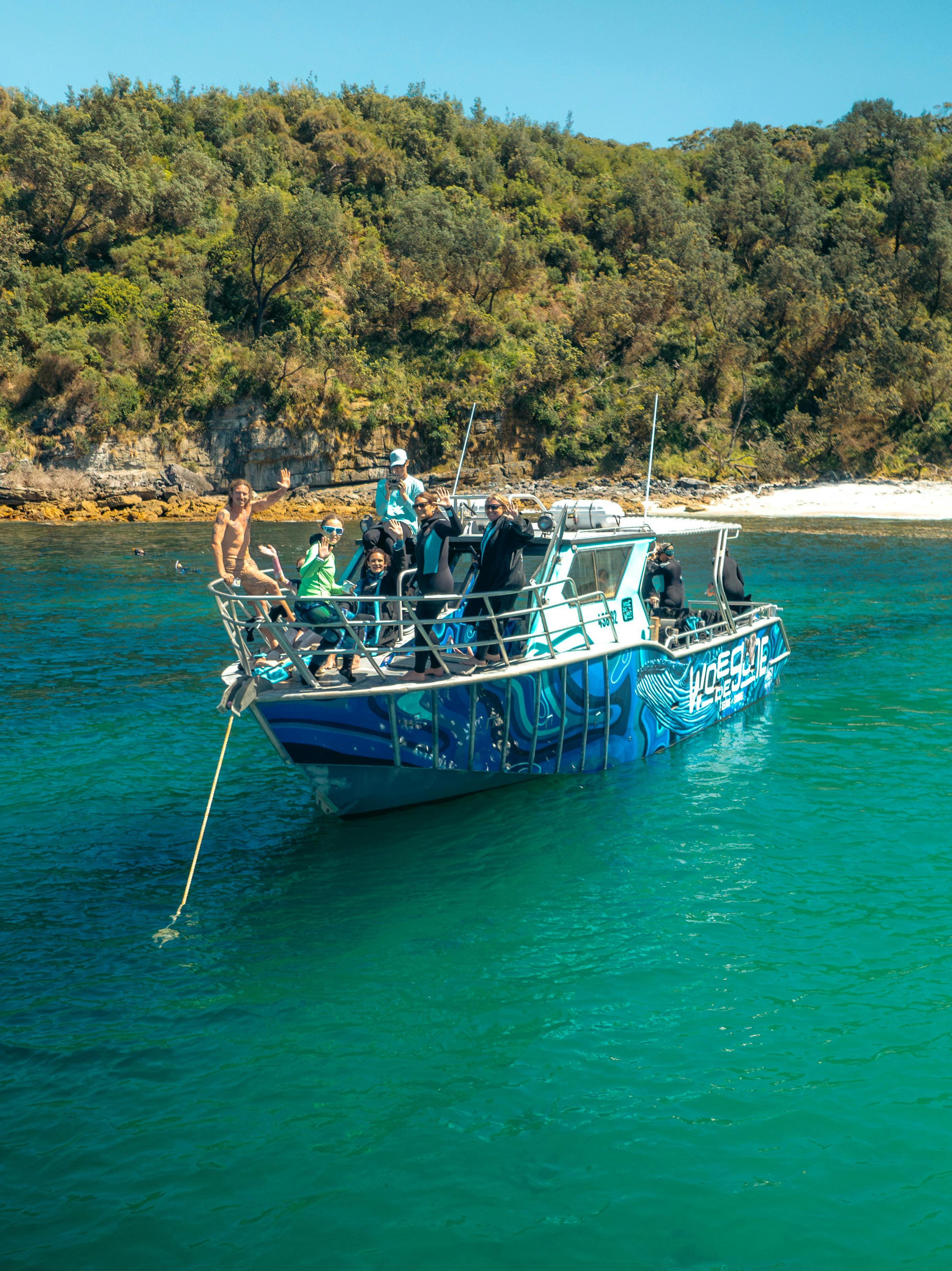 Boat snorkel Freedive Jervis bay