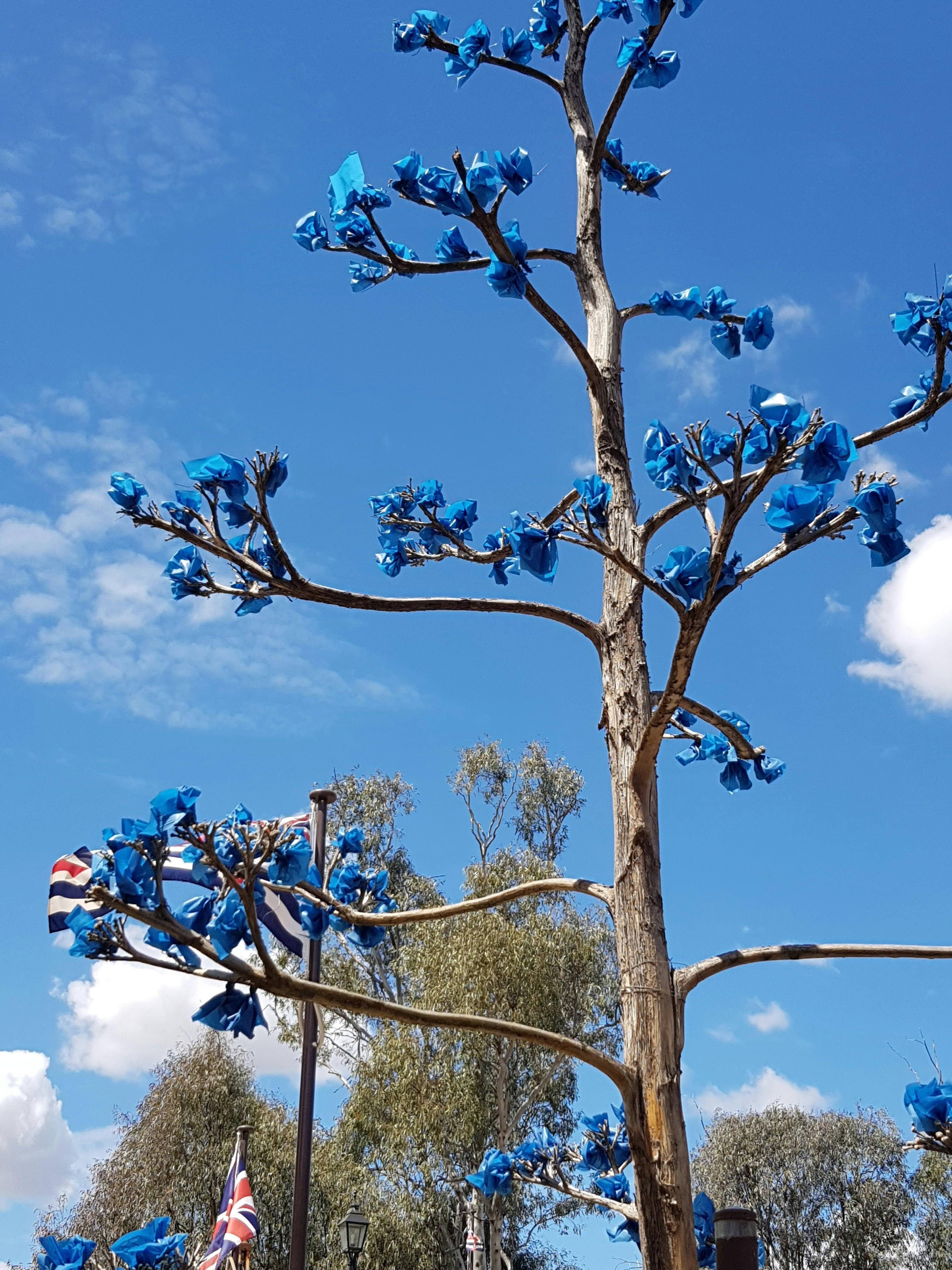 Echuca