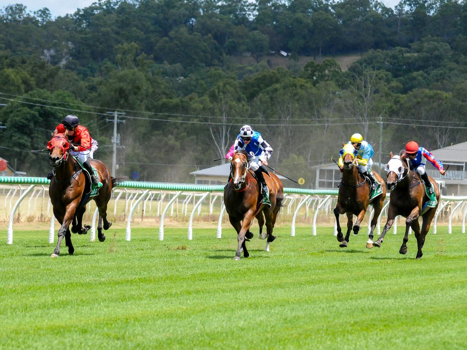 Ipswich Turf Club Ipswich Turf Club