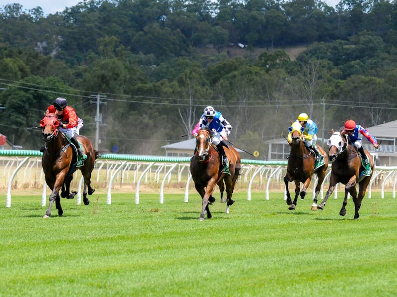 Image for Ipswich Race Day