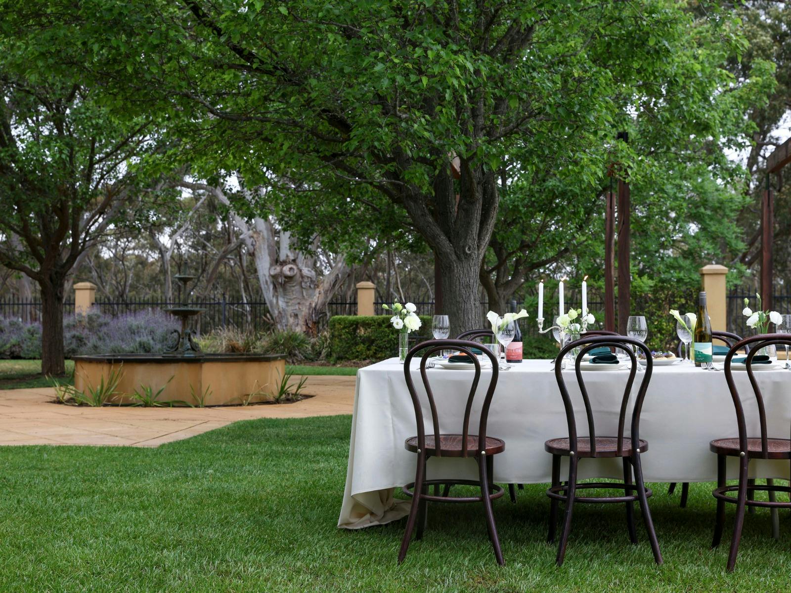 Millon Estate - Clare Valley