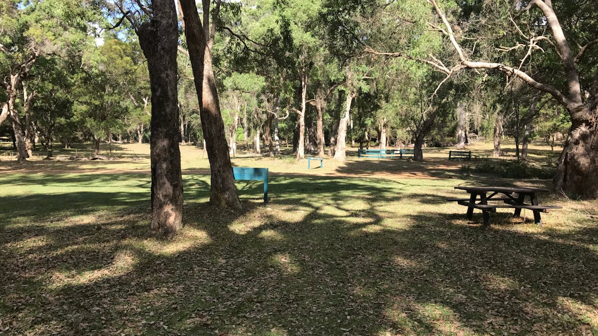 Grassy open area surrounded by tall gum trees with a sign indicating the nearby camping area.