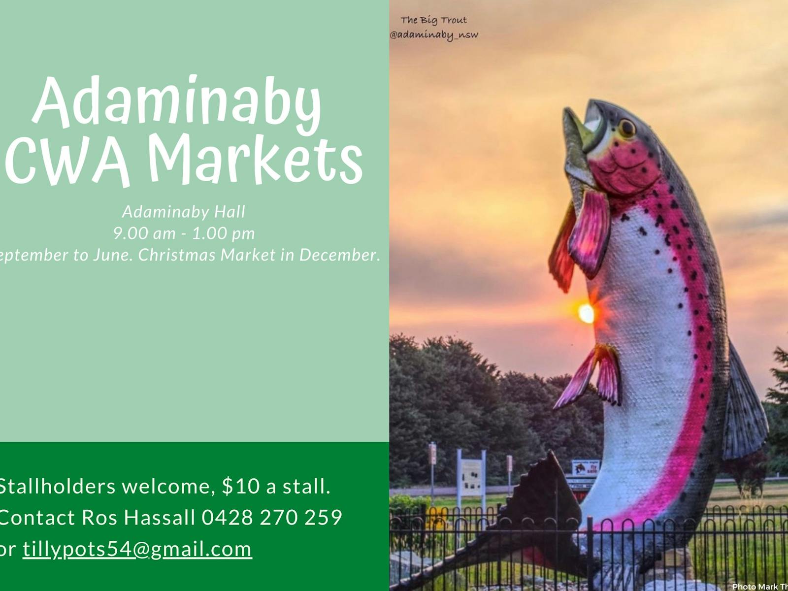 Image for CWA Adaminaby Markets