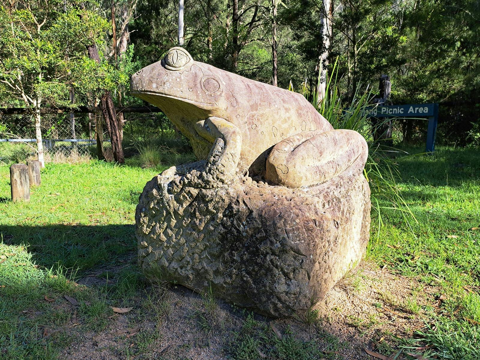 Fleay's Barred Frog by Paul Stumkat