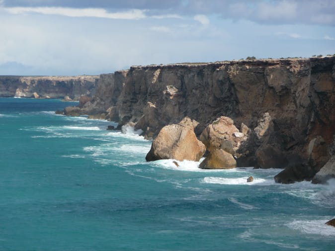 5 Day Eyre Peninsula Australian Bight Whale Watching Tour SWTWW05